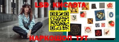 гидра Славгород