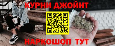 гидра Славгород