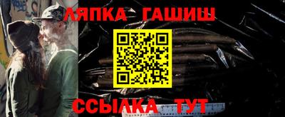 гидра Славгород