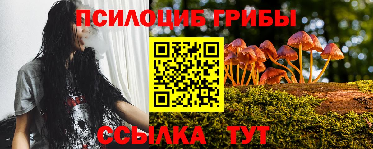 Псилоцибиновые грибы MAGIC MUSHROOMS Новый Уренгой