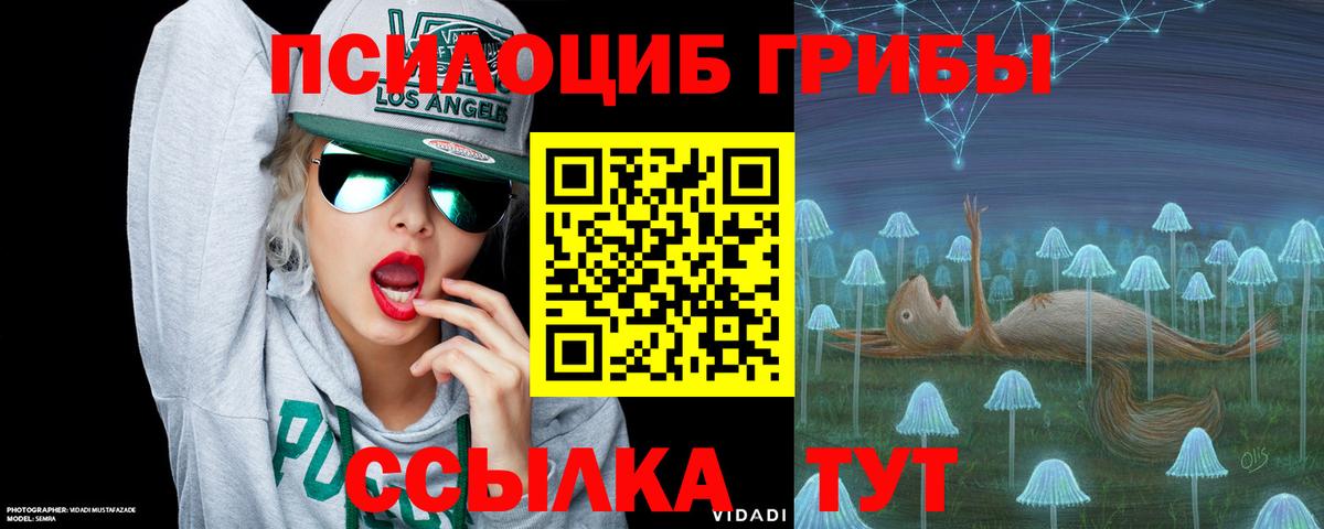 Псилоцибиновые грибы GOLDEN TEACHER  Вход с VPN  купить   Новый Уренгой  Галлюциногенные грибы мицелий 